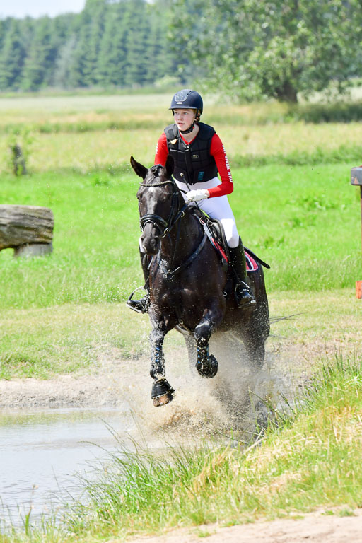 Goldene Schärpe PFerde  in Löningen  11+12.6.22 | 11062022 - Gelände 143 Abt 