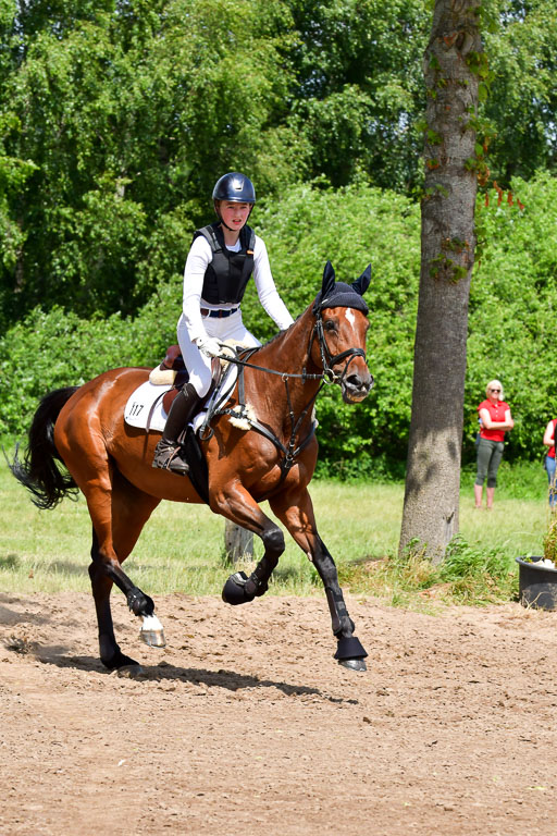 Goldene Schärpe PFerde  in Löningen  11+12.6.22 | 11062022 - Gelände 160 Abt 
