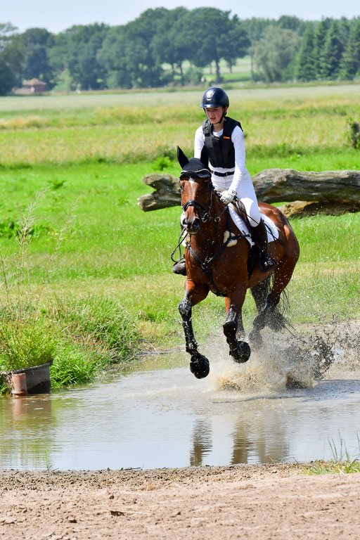 Goldene Schärpe PFerde  in Löningen  11+12.6.22 | 11062022 - Gelände 164 Abt 