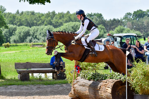 Goldene Schärpe PFerde  in Löningen  11+12.6.22 | 11062022 - Gelände 172 Abt 
