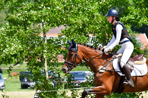 Goldene Schärpe PFerde  in Löningen  11+12.6.22 | 11062022 - Gelände 174 Abt 