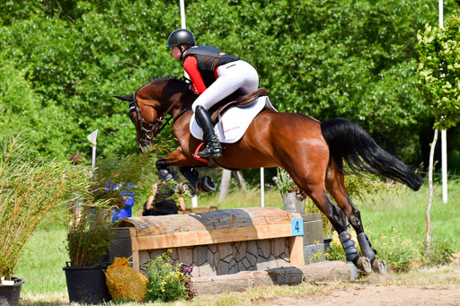 Goldene Schärpe PFerde  in Löningen  11+12.6.22 | 11062022 - Gelände 180 Abt 