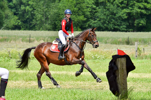 Goldene Schärpe PFerde  in Löningen  11+12.6.22 | 11062022 - Gelände 187 Abt 