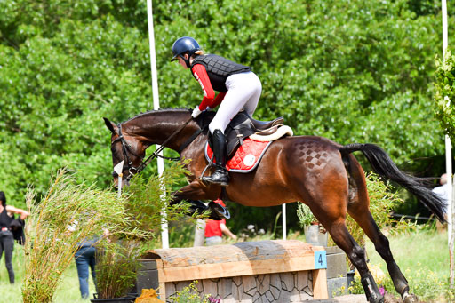 Goldene Schärpe PFerde  in Löningen  11+12.6.22 | 11062022 - Gelände 191 Abt 