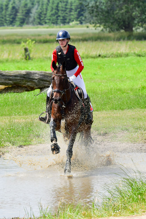 Goldene Schärpe PFerde  in Löningen  11+12.6.22 | 11062022 - Gelände 193 Abt 
