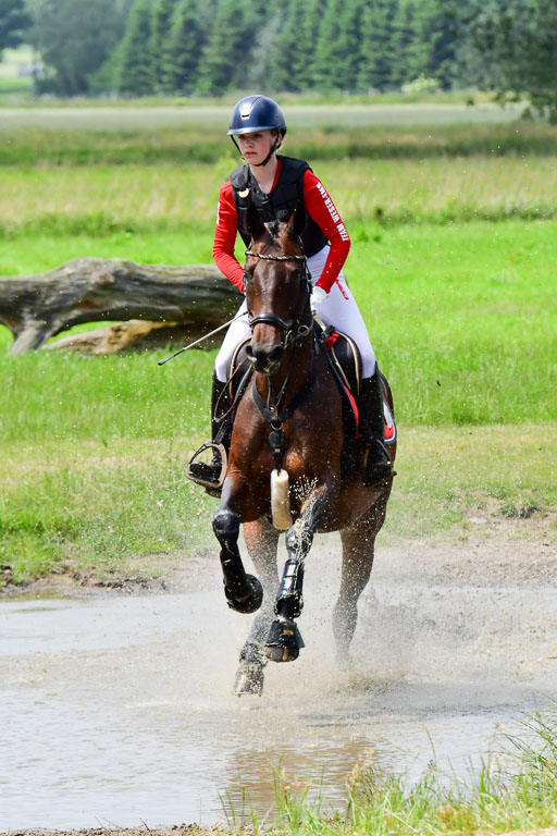 Goldene Schärpe PFerde  in Löningen  11+12.6.22 | 11062022 - Gelände 194 Abt 