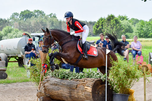 Goldene Schärpe PFerde  in Löningen  11+12.6.22 | 11062022 - Gelände 201 Abt 