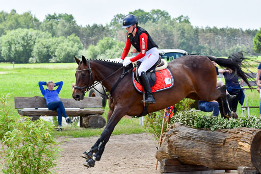 Goldene Schärpe PFerde  in Löningen  11+12.6.22 | 11062022 - Gelände 202 Abt 