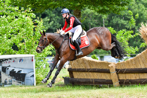 Goldene Schärpe PFerde  in Löningen  11+12.6.22 | 11062022 - Gelände 204 Abt 
