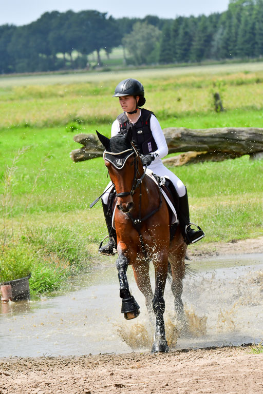Goldene Schärpe PFerde  in Löningen  11+12.6.22 | 11062022 - Gelände 215 Abt 