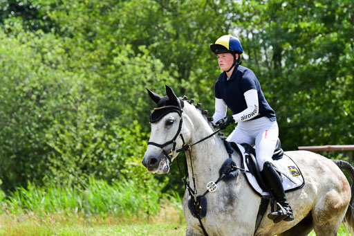 Goldene Schärpe Pferde  in Löningen  11+12.6.22 | 11062022 - Gelände 305 Abt 