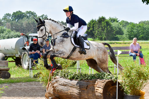 Goldene Schärpe Pferde  in Löningen  11+12.6.22 | 11062022 - Gelände 309 Abt 