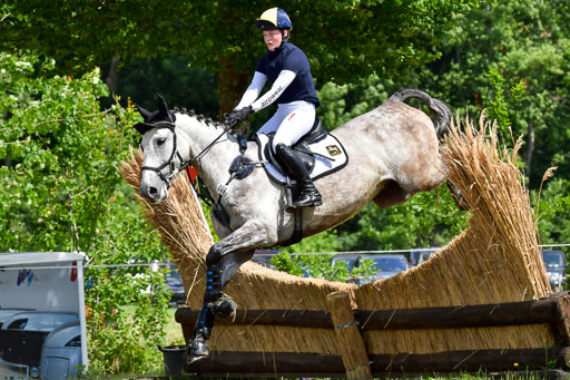 Goldene Schärpe Pferde  in Löningen  11+12.6.22 | 11062022 - Gelände 312 Abt 