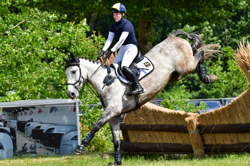 Goldene Schärpe Pferde  in Löningen  11+12.6.22 | 11062022 - Gelände 313 Abt 
