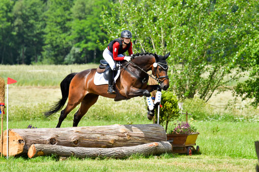 Goldene Schärpe Pferde  in Löningen  11+12.6.22 | 11062022 - Gelände 316 Abt 