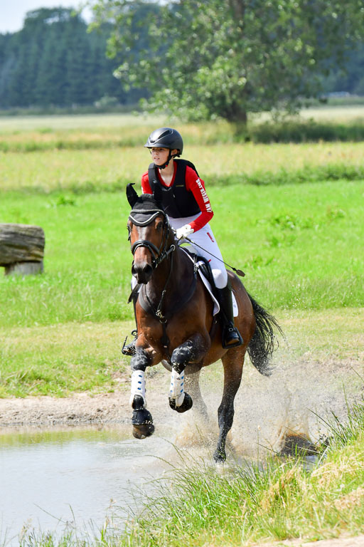 Goldene Schärpe Pferde  in Löningen  11+12.6.22 | 11062022 - Gelände 319 Abt 
