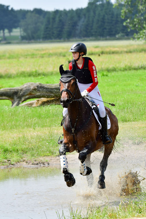 Goldene Schärpe Pferde  in Löningen  11+12.6.22 | 11062022 - Gelände 321 Abt 