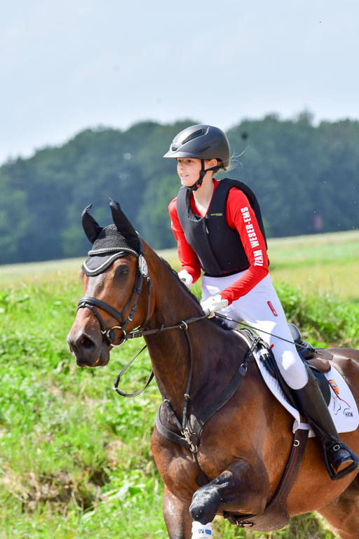 Goldene Schärpe Pferde  in Löningen  11+12.6.22 | 11062022 - Gelände 324 Abt 