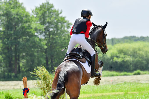 Goldene Schärpe Pferde  in Löningen  11+12.6.22 | 11062022 - Gelände 325 Abt 