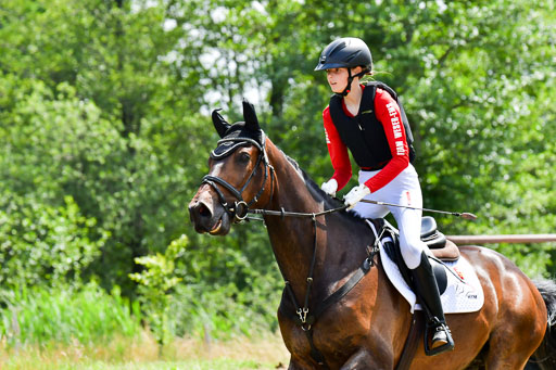 Goldene Schärpe Pferde  in Löningen  11+12.6.22 | 11062022 - Gelände 329 Abt 