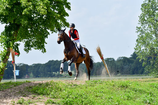 Goldene Schärpe Pferde  in Löningen  11+12.6.22 | 11062022 - Gelände 331 Abt 