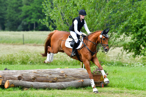 Goldene Schärpe Pferde  in Löningen  11+12.6.22 | 11062022 - Gelände 334 Abt 
