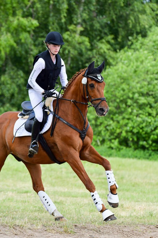 Goldene Schärpe Pferde  in Löningen  11+12.6.22 | 11062022 - Gelände 335 Abt 