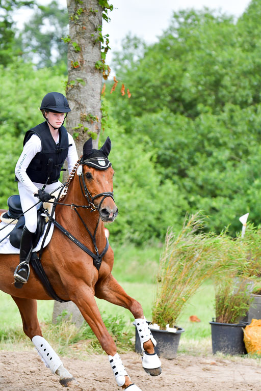 Goldene Schärpe Pferde  in Löningen  11+12.6.22 | 11062022 - Gelände 336 Abt 