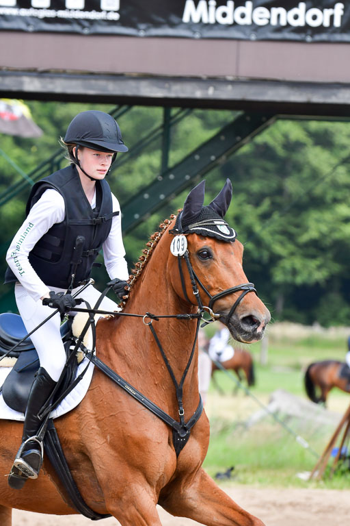 Goldene Schärpe Pferde  in Löningen  11+12.6.22 | 11062022 - Gelände 337 Abt 