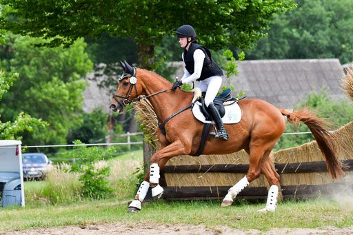 Goldene Schärpe Pferde  in Löningen  11+12.6.22 | 11062022 - Gelände 339 Abt 