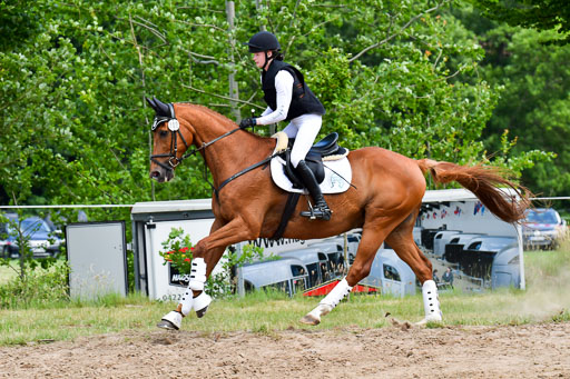 Goldene Schärpe Pferde  in Löningen  11+12.6.22 | 11062022 - Gelände 340 Abt 