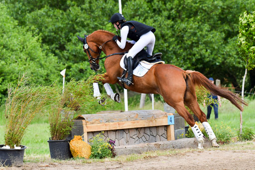 Goldene Schärpe Pferde  in Löningen  11+12.6.22 | 11062022 - Gelände 341 Abt 