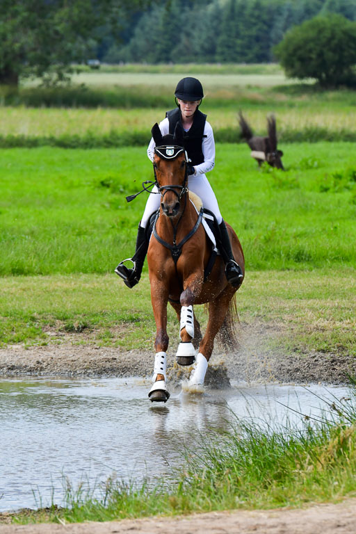 Goldene Schärpe Pferde  in Löningen  11+12.6.22 | 11062022 - Gelände 342 Abt 