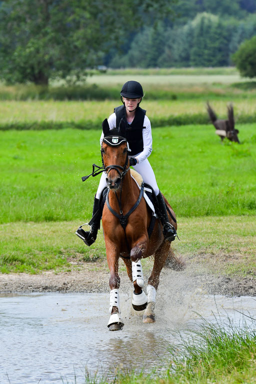 Goldene Schärpe Pferde  in Löningen  11+12.6.22 | 11062022 - Gelände 343 Abt 