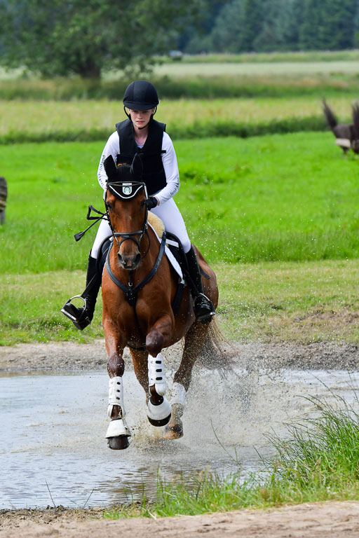 Goldene Schärpe Pferde  in Löningen  11+12.6.22 | 11062022 - Gelände 344 Abt 