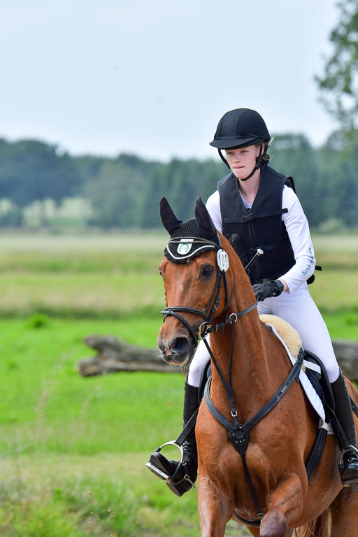 Goldene Schärpe Pferde  in Löningen  11+12.6.22 | 11062022 - Gelände 346 Abt 
