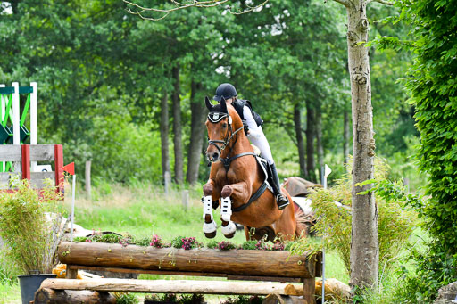 Goldene Schärpe Pferde  in Löningen  11+12.6.22 | 11062022 - Gelände 349 Abt 