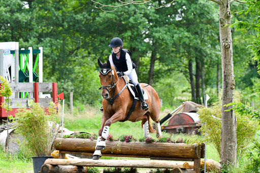 Goldene Schärpe Pferde  in Löningen  11+12.6.22 | 11062022 - Gelände 351 Abt 