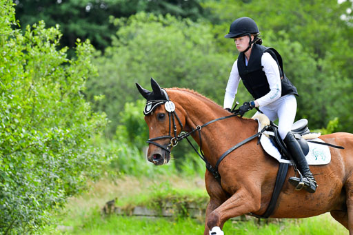 Goldene Schärpe Pferde  in Löningen  11+12.6.22 | 11062022 - Gelände 352 Abt 