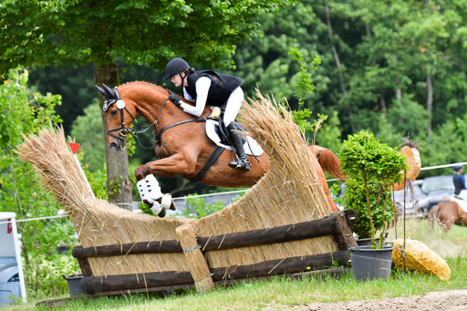 Goldene Schärpe Pferde  in Löningen  11+12.6.22 | 11062022 - Gelände 357 Abt 