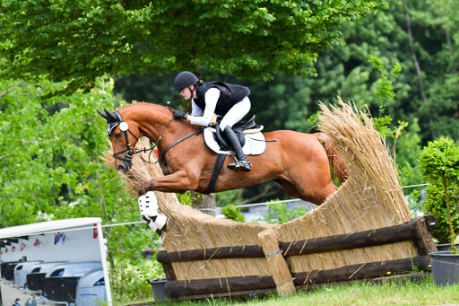 Goldene Schärpe Pferde  in Löningen  11+12.6.22 | 11062022 - Gelände 358 Abt 
