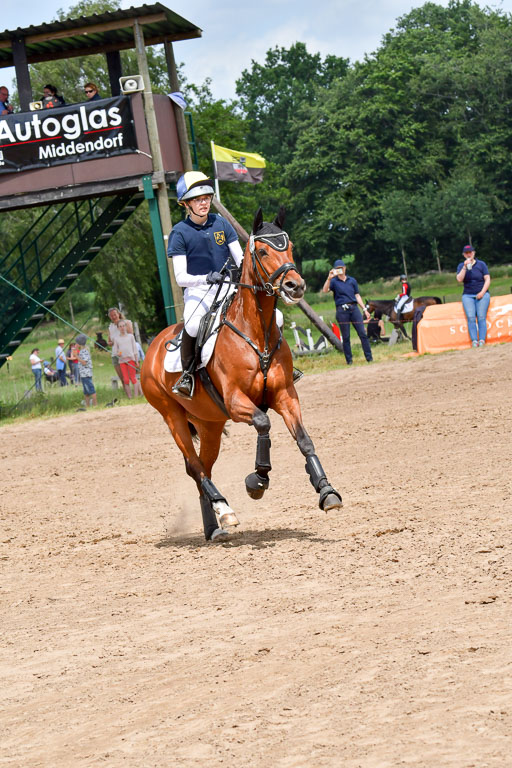 Goldene Schärpe Pferde  in Löningen  11+12.6.22 | 11062022 - Gelände 360 Abt 