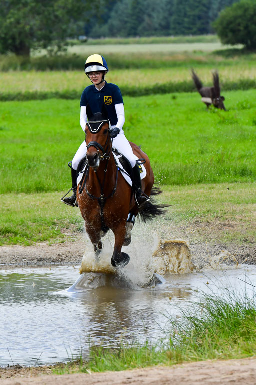 Goldene Schärpe Pferde  in Löningen  11+12.6.22 | 11062022 - Gelände 363 Abt 