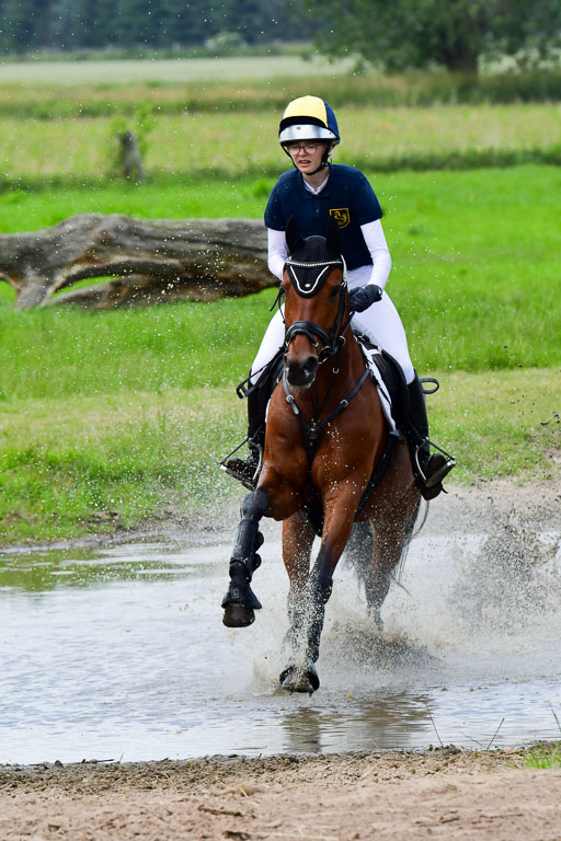 Goldene Schärpe Pferde  in Löningen  11+12.6.22 | 11062022 - Gelände 365 Abt 