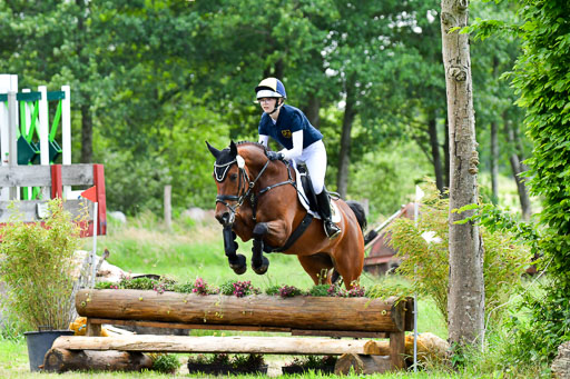 Goldene Schärpe Pferde  in Löningen  11+12.6.22 | 11062022 - Gelände 367 Abt 