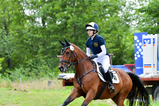 Goldene Schärpe Pferde  in Löningen  11+12.6.22 | 11062022 - Gelände 368 Abt 