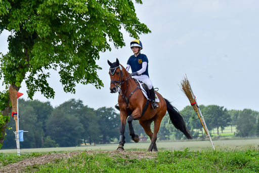 Goldene Schärpe Pferde  in Löningen  11+12.6.22 | 11062022 - Gelände 369 Abt 