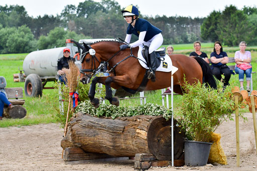 Goldene Schärpe Pferde  in Löningen  11+12.6.22 | 11062022 - Gelände 370 Abt 
