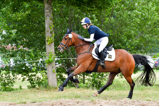Goldene Schärpe Pferde  in Löningen  11+12.6.22 | 11062022 - Gelände 372 Abt 