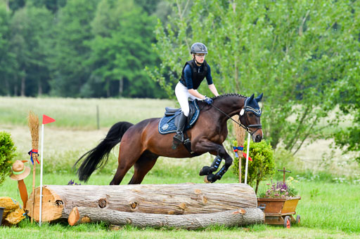 Goldene Schärpe Pferde  in Löningen  11+12.6.22 | 11062022 - Gelände 373 Abt 